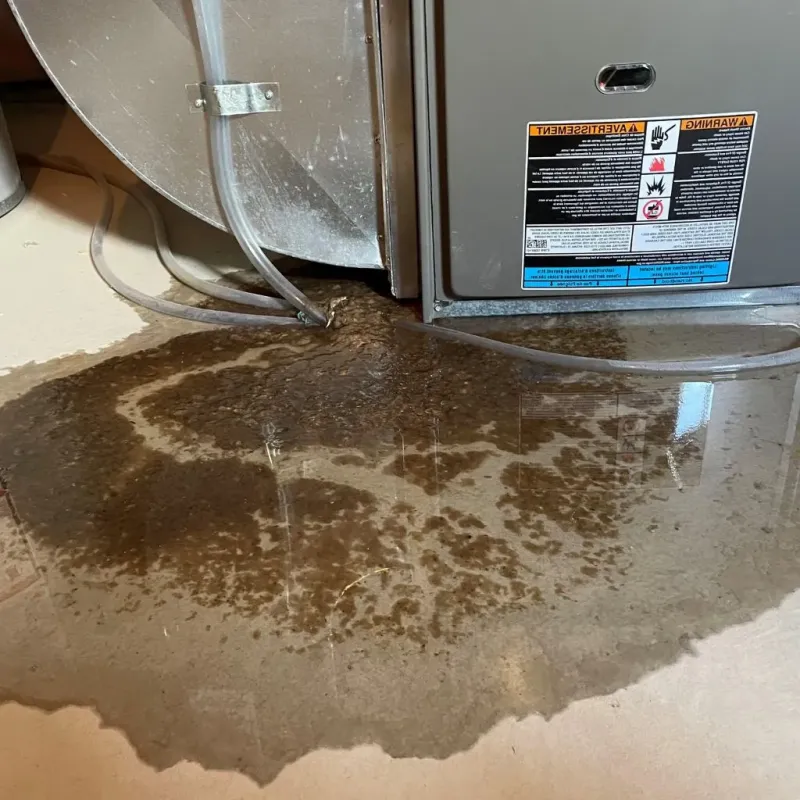 Pipe Burst and Leak Restoration in Greenup County, KY