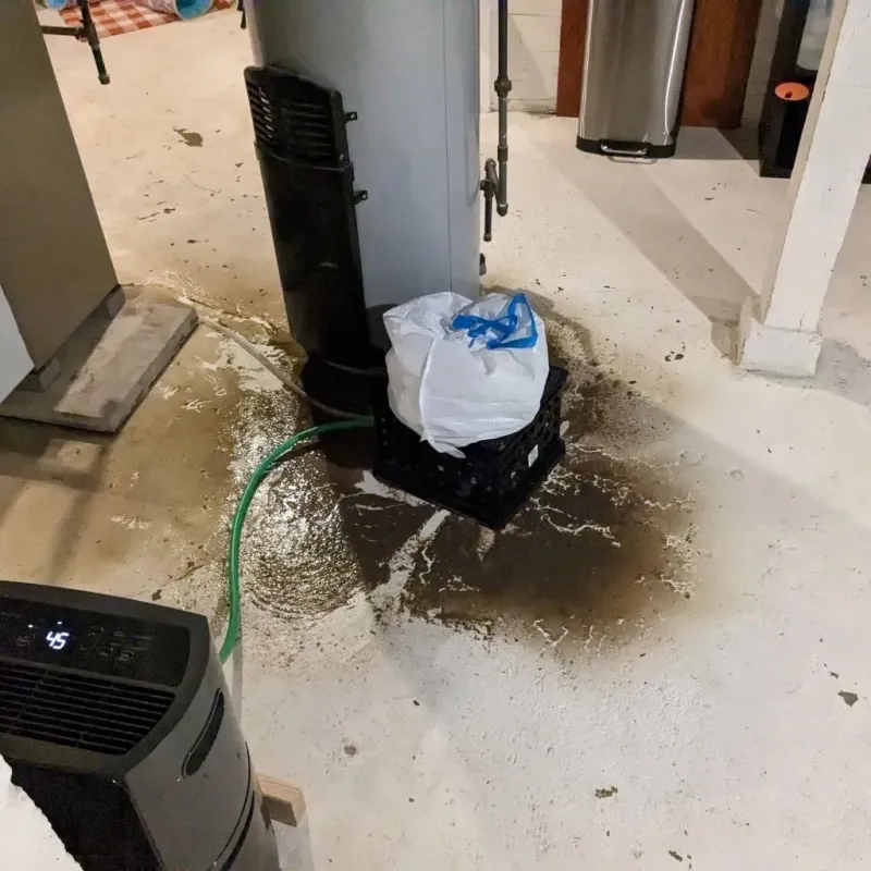 Sewage Backup Cleanup Service in Greenup County, KY